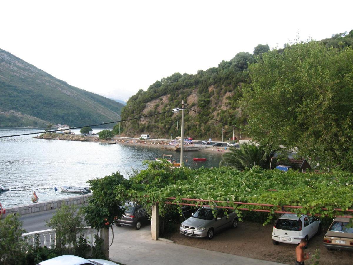 Stevovic